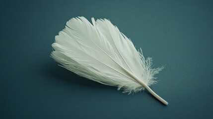 High detail macro view of white feather shuttlecock on textured surface with soft shadows, showcasing fine feather texture, smooth curves, and sports object minimalism in a clean close-up composition

