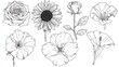 © Julia - Single flower doodles drawing vector illustration. Spring flower outline set including a rose, sunflower daisy, hibiscus, peony, camellia, morning glory, etc.