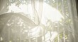 © Tran - 柔らかな光透ける透け感カーテン 爽やか自然風 穏やか風景. AI Generated