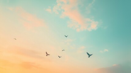 Aufkleber - Birds gracefully fly in a colorful sky during sunset, creating a peaceful atmosphere.
