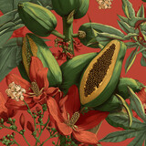 Ilustracja botaniczna przedstawiająca papaje, kwiaty i liście w tropikalnym stylu na czerwonym tle. Bogactwo egzotycznej natury w artystycznym ujęciu.