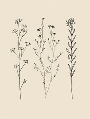 Poster - Minimalistic line art of Botanical wall art