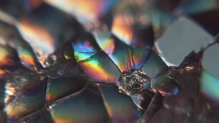 Poster - Colorful light refraction creates a mesmerizing display on the surface of an iridescent crystal, showcasing the beauty of nature's innovation