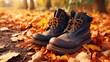 © PaulShlykov - Pair of black leather boots with brown laces on autumn leaves ground