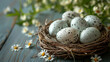 © Daria - Blue speckled eggs in nest with soft pink flowers on white wooden background