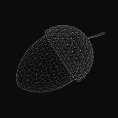 Poster - Black and white wireframe acorn with intricate details, showcasing ridges and curves on a smooth black background. The design highlights the natural symmetry and texture of the acorn in a minimalist.