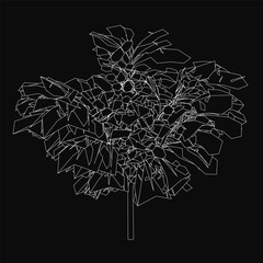 Poster - Low poly tree illustration in black and white, composed of geometric shapes and intricate lines. The design stands out against a solid black background, creating a striking contrast.