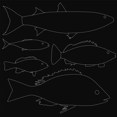 Poster - A set of fishes illustrated in black and white, their delicate outlines glowing white against a deep black background. The minimalist design creates a striking contrast, emphasizing the fluid shapes.