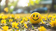 © Keo - A yellow smiley face egg on a bed of yellow flowers in a sunny, outdoor setting.