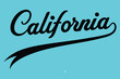 © Nazrul Kabir - California Script Text with Tail on Aqua Background Design Element