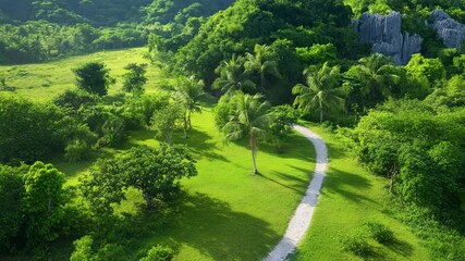 Aufkleber - Scenic Road Through Green Landscape: An awe-inspiring aerial view reveals a meandering road carving through a lush, green expanse. The vivid imagery showcases the pure natural beauty.