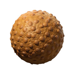 Fototapete - 3d render of brown bumpy sphere isolated on transparent background