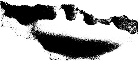 Poster - Abstract texture of flaking rust with patina in high contrast black and white for artistic design