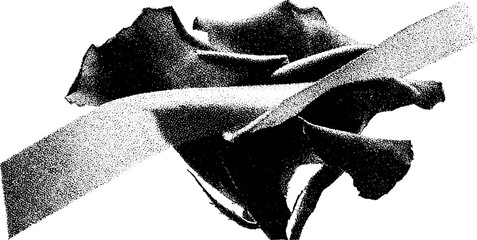 Poster - Black and white abstract floral with ribbon design for artistic print
