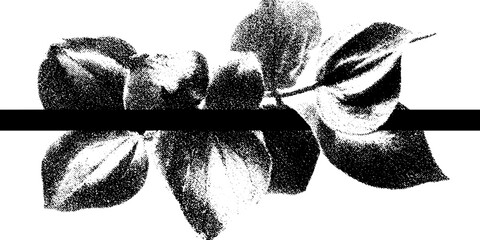 Aufkleber - High contrast black and white floral ribbon design for abstract art projects