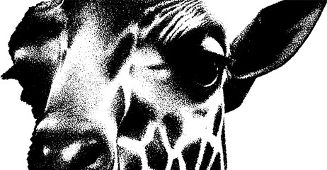 Aufkleber - High contrast black and white giraffe print fragment for modern design