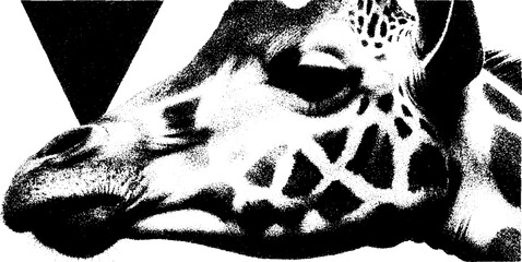Leinwandbilder - High contrast black and white giraffe print fragment for creative design