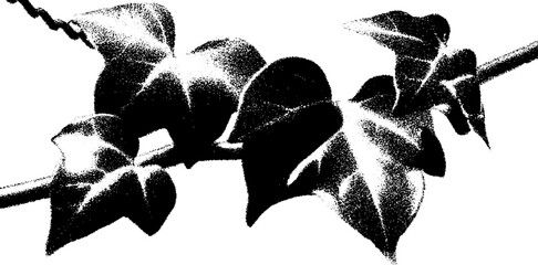 Poster - Dramatic gothic ivy tendrils in high contrast black and white design
