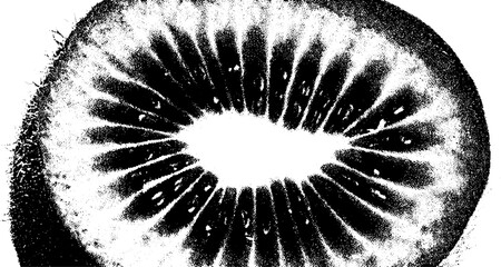 Poster - Abstract black and white kiwi half with high contrast for modern art design