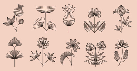 Poster - Linear boho flowers. Floral line art, bohemian style blooming plants with geometric flower and leaves. Abstract botanical isolated vector illustrations set with editable stroke path.