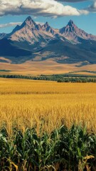 Poster - Agricultural landscape with rows of corn and distant mountains, suitable for rural themed designs