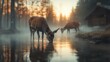 © svastix - Two deer peacefully drinking water in a misty river at dawn, encapsulating the tranquility and beauty of nature's morning moments in a serene forest setting.