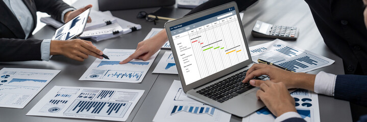 Fototapete - Project planning software for brisk business project management on the computer screen showing timeline chart of the team project