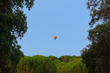 yellow hot air balloon flying over a green forest under a clear blue sky