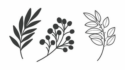 Poster - Three decorative botanical branches with leaves and berries in a simple line art style design illustration created with generated ai