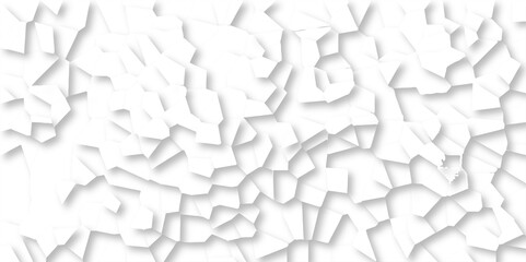 Poster - Beautiful white crystallized polygon background. abstract light white stone tile pattern with shadow. modern wallpaper, trendy simple minimal geometric background abstract mosaic backdrop.