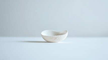 Poster - Minimalist White Ceramic Bowl on Simple Background Captured in Natural Light for Home Decor or Kitchen Table Use