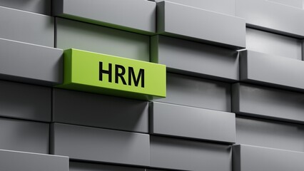 Poster - metal blocks with hrm text. Financial, marketing.close up of metal blocks,Business Concept.3D rendering on green background.