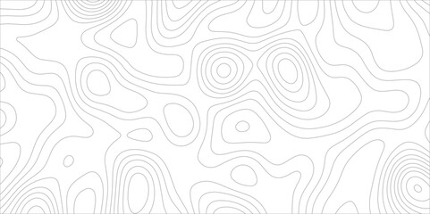 Poster - Abstract background with topographic map white background. The stylized height of the topographic map contour in black lines. gradient multicolor wave curve lines banner background design.