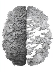 Aufkleber - Chaotic Lines Create a Brain Shape on One Side Contrasting With a Clean Muted Design, Representing Complex Thoughts Versus Clarity