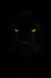 © MC Portfolio - Black panther face emerging from deep shadow with intense golden eyes and fine whiskers creating mysterious nocturnal predator portrait on dark background for wildlife and nature themes