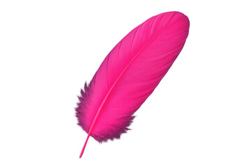 Poster - Single pink feather floating gracefully on a transparent background, perfect for adding a touch of elegance to creative projects