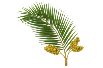 Poster - Photorealistic 3d palm branch displaying vibrant yellow blossoms, rendered transparently for tropical graphic design projects