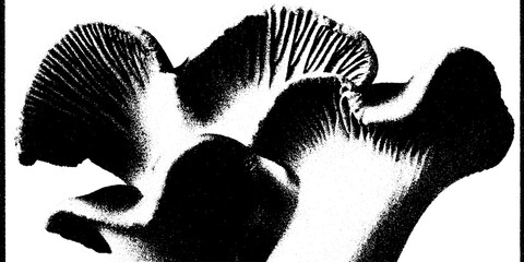 Poster - Abstract black and white mushroom study with high contrast gills