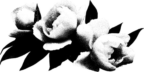 Poster - Dramatic black and white peony bouquet with high contrast abstract art design