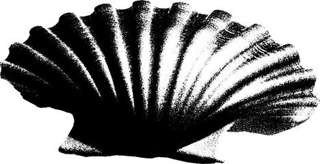 Poster - High contrast black and white scallop shell art for contemporary design