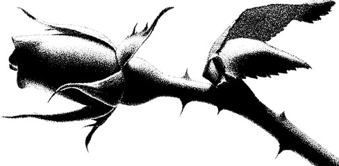 Aufkleber - Dramatic high contrast black and white rose stem art for prints