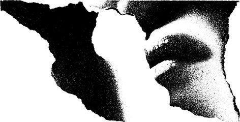 Poster - Abstract high contrast black and white shredded map edge design