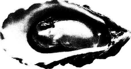 Poster - High contrast black and white shucked oyster abstraction