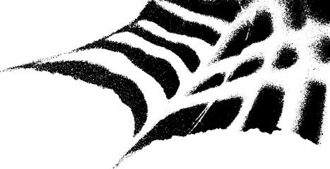 Poster - Abstract spider web fragment in high contrast black and white design