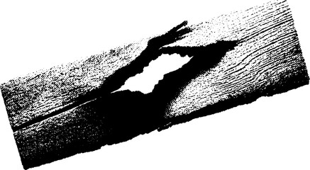 Poster - High contrast black and white splintered timber board design for rustic decor