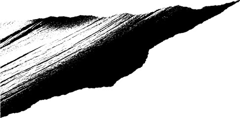 Poster - Splintered timber board in high contrast black and white design for print and poster art