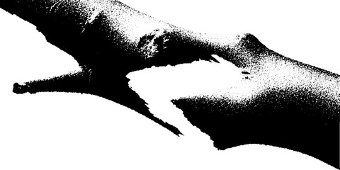 Poster - High contrast black and white splintered timber board for artistic design