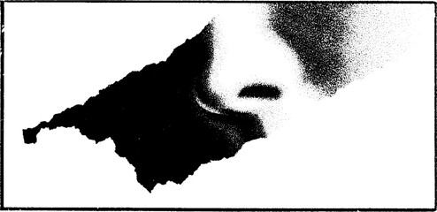Aufkleber - High contrast black and white abstract art focusing on textures and edges