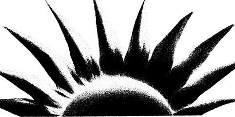 Poster - High contrast abstract sunflower design in black and white for artistic projects