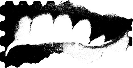 Poster - Abstract high contrast fragment of torn credit card in black and white